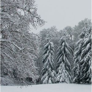 Warm Coats &Jackets 15% off Any 2 or more Items. WOOL LEATHER FAUX FUR Stay WARM